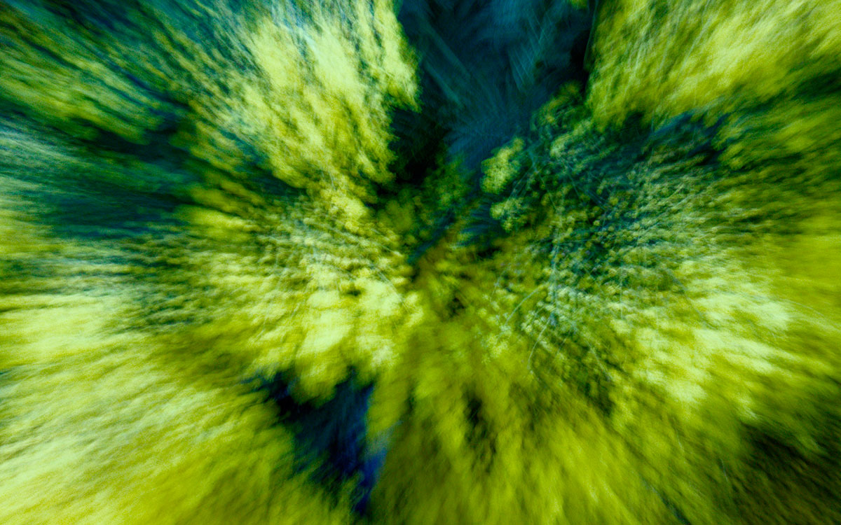 Exposition : le Club Photo de Pornichet révèle sa vision de “La Vie en Bicolore”