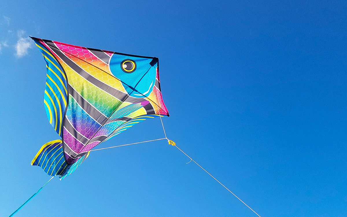 Ce week-end à Saint-Brevin, le vent se fait artiste au festival de cerf-volant