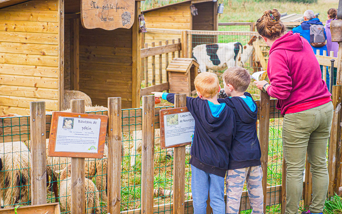 Pornichet, Naturellement ! Une journée dédiée à la nature et à la biodiversité
