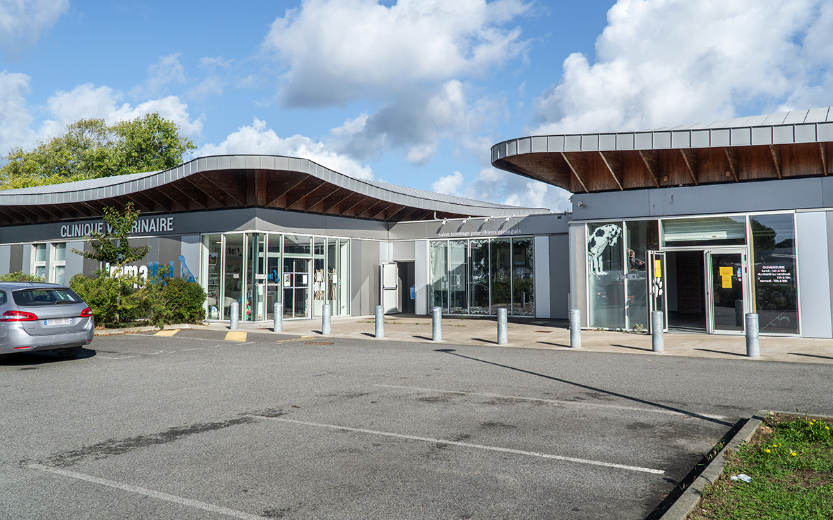 Saint-Nazaire : urgences 24h/24, scanner et IRM… Immavet s’agrandit à l’Immaculée