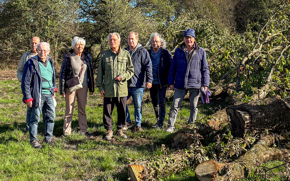 Saint-Nazaire : Natur-Action alerte sur la coupe de 50 chênes à l’Immaculée