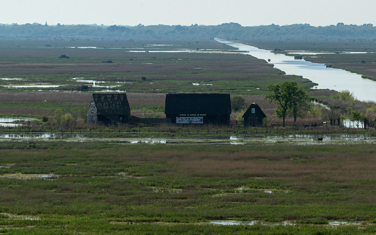 Réserve naturelle des marais de Brière : la fermeture décidée après des dégradations répétées