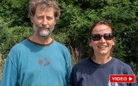 Loire-Atlantique : un chacal doré identifié pour la première fois dans le Département