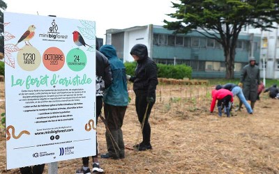 Saint-Nazaire : les élèves ont planté la “Forêt d’Aristide” au coeur du Lycée