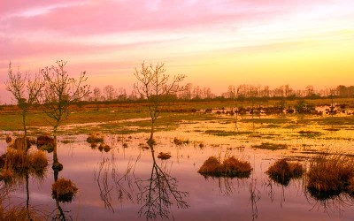 Pour le maire de Trignac, les inondations dans le Nord sonnent comme un avertissement