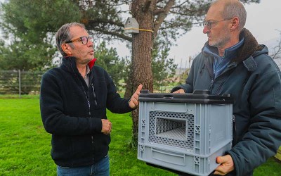 Pornichet : un réseau de 30 piégeurs volontaires pour lutter contre les frelons asiatiques