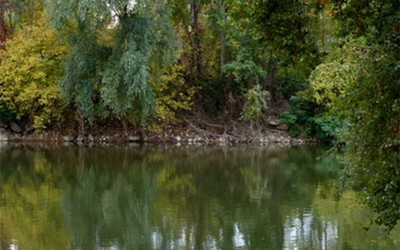 Loire-Atlantique : un corps en état de décomposition avancée découvert le long de la Loire