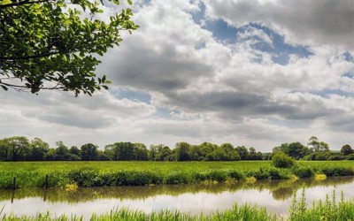 À Montoir-de-Bretagne, un Office du Climat et de l’Environnement voit le jour