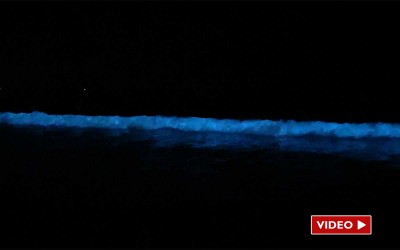 La Baule : le rituel des bains de minuit fluo s’installe