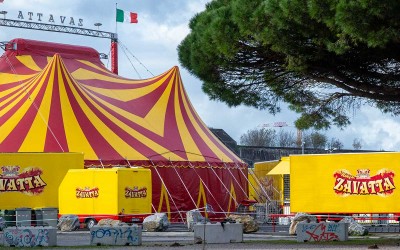 La Baule : 269 Life France prépare une action contre la venue du cirque Zavatta