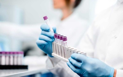Montoir-de-Bretagne : ouverture du laboratoire d’analyses médicales Eurofins