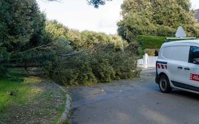 Tempête Caetano : les sapeurs-pompiers dressent un premier bilan de leurs interventions