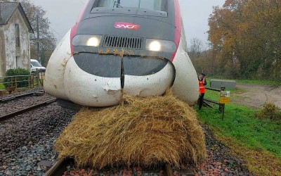 Une botte de paille sur la voie met le TGV Paris Le Croisic à l’arrêt
