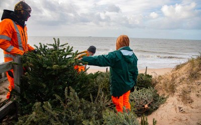 Mon beau sapin, roi de la plage à Pornichet