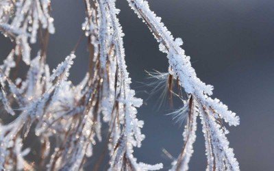 Loire-Atlantique : des températures ressenties pouvant atteindre les -10°