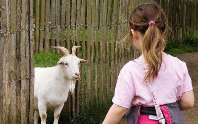 Trignac fête la nature et le vivre ensemble au Parc Océane