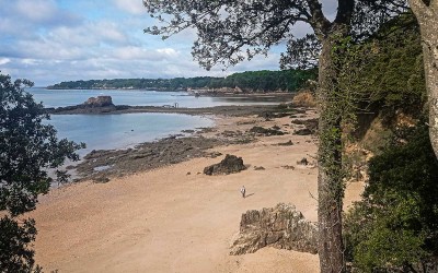 Loire-Atlantique : 4 jours de grandes marées sur le littoral, où peut-on pêcher à pied ?