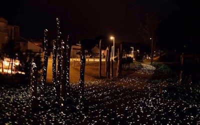 Saint-Brévin : l’éclairage de la promenade Padioleau primé au concours Lumières 2025