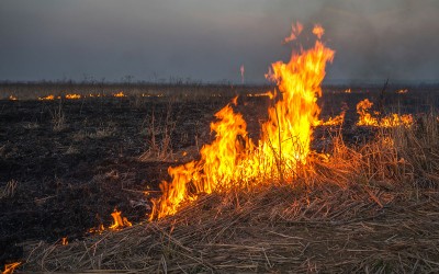 Loire-Atlantique : l’Ouest du département en proie à de nombreux départs de feux