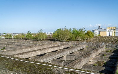 Base sous-marine de Saint-Nazaire : le Jardin du Tiers Paysage de Gilles Clément est appelé à disparaître