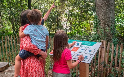Pornichet : un parcours pédagogique au Bois des Evens pour observer, jouer, et protéger