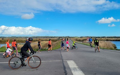 Idée sortie du week-end : dimanche, c’est journée douce dans les marais salants !