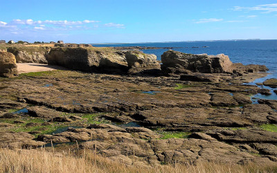 Interdiction de pêche aux coquillages : Piriac, Pen Bé, Mesquer, et l’île Dumet concernés