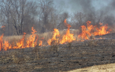 Incendies : La Baule débloque 10 000 euros pour soutenir les communes sinistrées