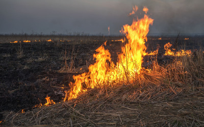 Pornic : important incendie de végétation en cours, des habitants évacués