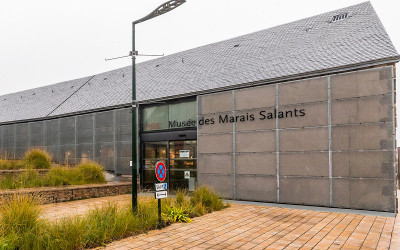 Batz-sur-Mer : du marais aux momies, un rendez-vous pour comprendre les pouvoirs du sel