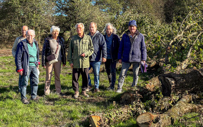 Saint-Nazaire : Natur-Action alerte sur la coupe de 50 chênes à l’Immaculée