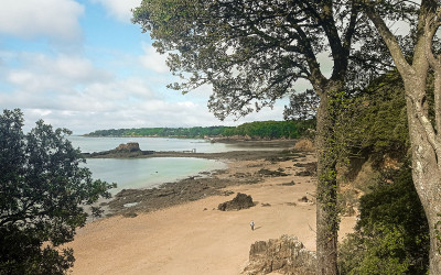 Saint-Nazaire : une opération de coupe de chênes verts au-dessus de la plage de Belle Fontaine