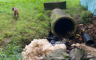 À Saint-Nazaire, un cours d’eau à l’aspect inquiétant, mais pas de pollution détectée