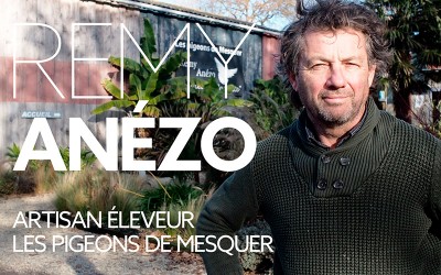 Noël approche, cuisinez local avec un délicieux pigeon de Mesquer
