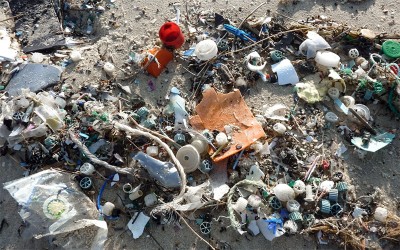 Saint-Brévin : la chasse aux Pokémons et au plastique est ouverte