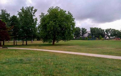 Parc Paysager de Saint-Nazaire : un chien décède après avoir mangé de la nourriture empoisonnée