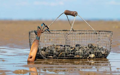 Loire-Atlantique : la pêche à pied déconseillée par l’ARS