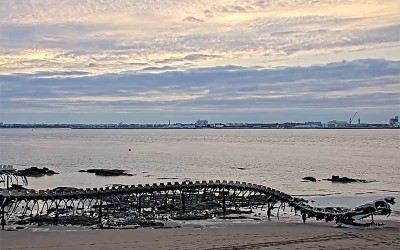 Saint-Brévin : une webcam pour admirer le serpent d’Océan à toute heure du jour et de la nuit