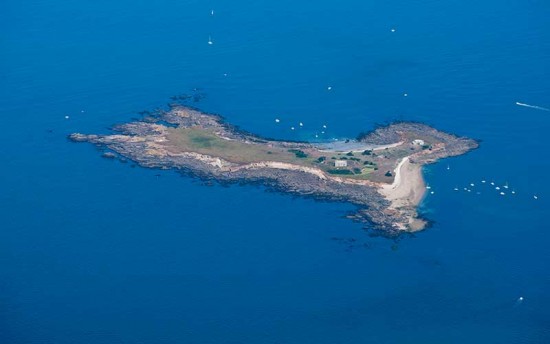 Loire-Atlantique : l’île Dumet protégée par une interdiction d’accès du 1er mars au 31 juillet