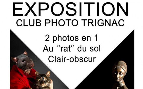 Trignac : le Club Photo expose au Centre Culturel Lucie Aubrac