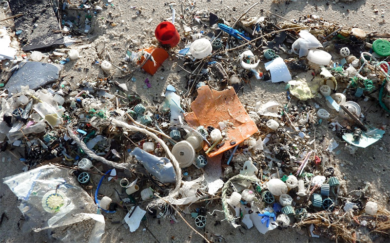 Saint-Brévin : la chasse aux Pokémons et au plastique est ouverte