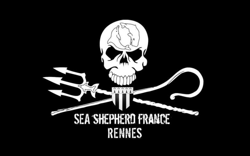 Saint-Nazaire : les baleineaux à la rescousse de Sea Shepherd