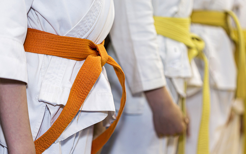 Saint-Nazaire : un joli cadeau de fin de saison pour le Judo Club Nazairien