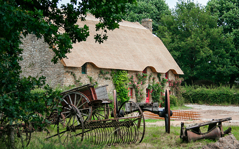 Parc de Brière : les toits de chaume souffrent de la mauvaise qualité des roseaux