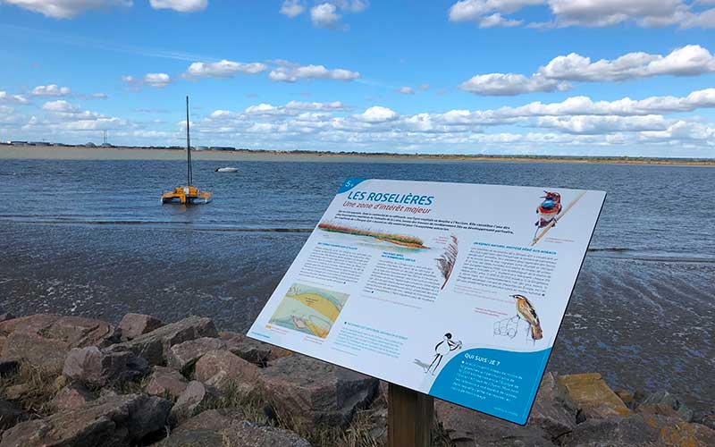 Paimboeuf : un parcours nature sur les rives de la Loire