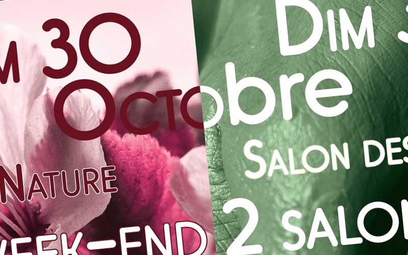 Saint-Nazaire : un week-end, deux salons avec l’Alerte de Méan