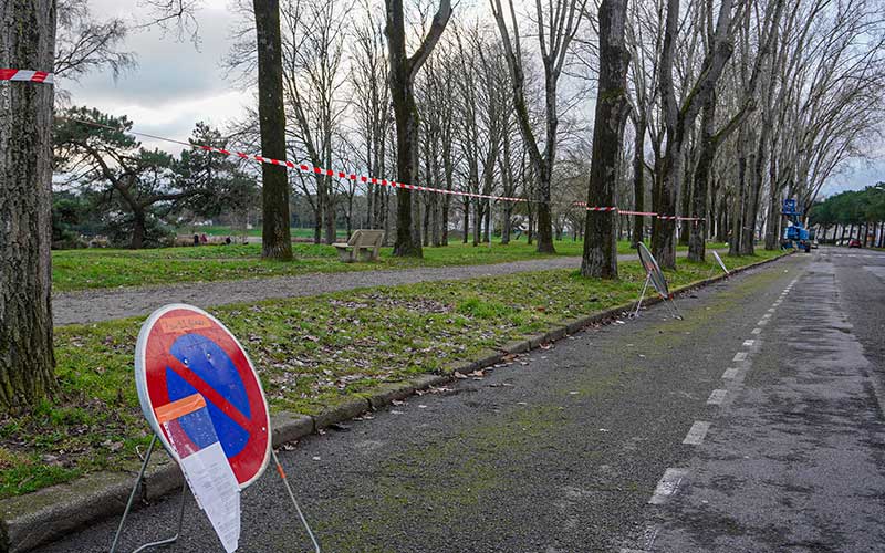Saint-Nazaire : opération d’abattage de peupliers au Parc paysager
