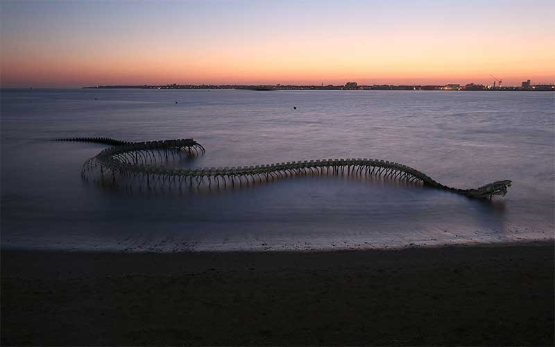 Saint-Brévin : le Serpent d’Océan pris pour une espèce éteinte crée le buzz sur Tik Tok