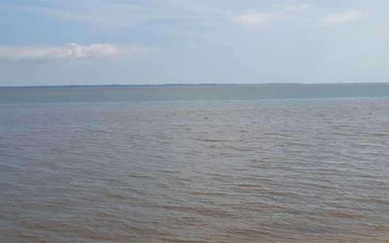 La baie de La Baule vire au rouge avec le retour des microalgues