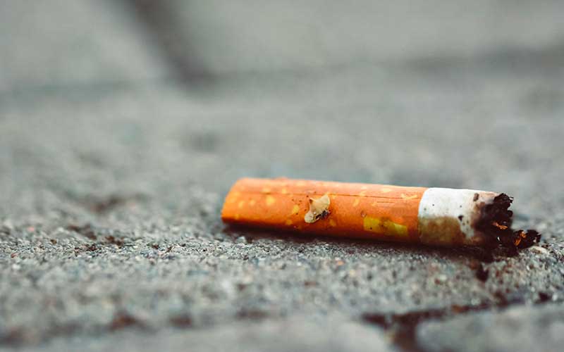 Saint-Nazaire : le label Espace sans tabac étendu à deux aires de jeux et cinq écoles